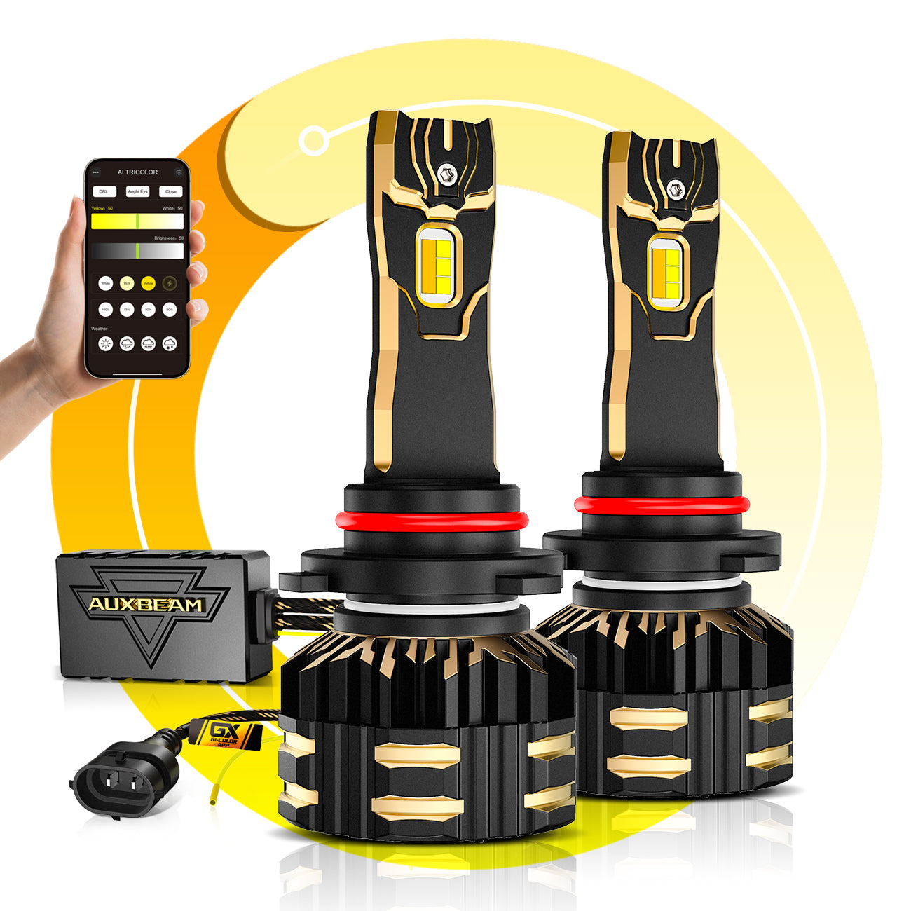 1-2_1200ccd7-d83d-42ac-9704-