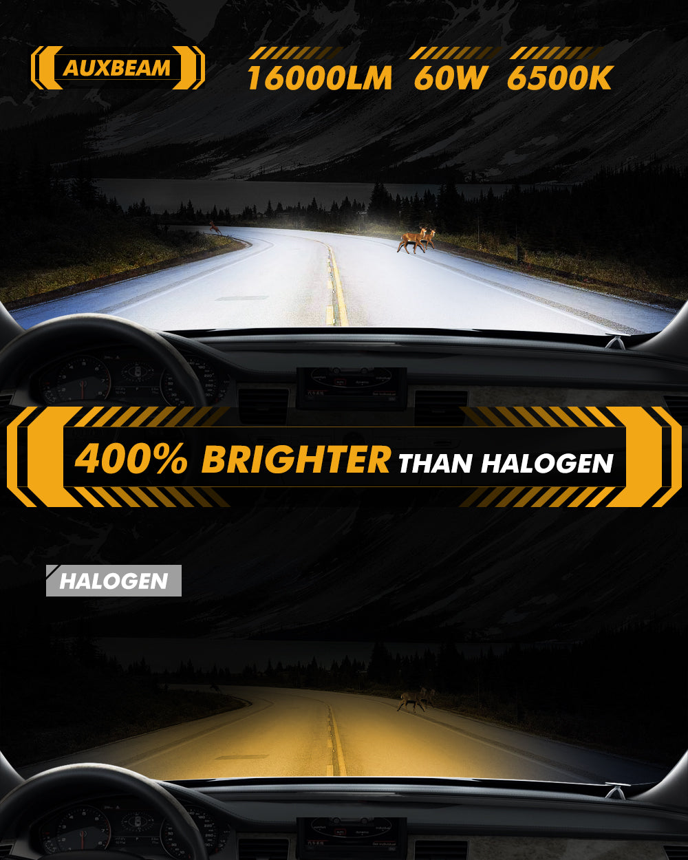AUXBEAM H3 LED Headlight Bulbs S2-Series COB 270°/360° Beam 8000LM –  shop.generalstorespokane